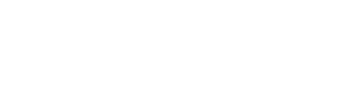 vidonet